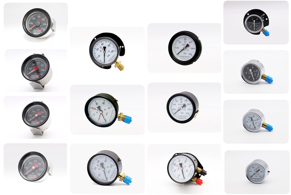 china the diaphragm pressure gauge