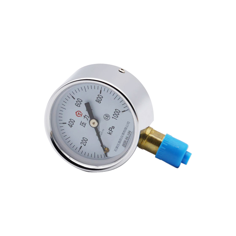 railway pressure gauge  - Single pointer,  single tube typeY60-2