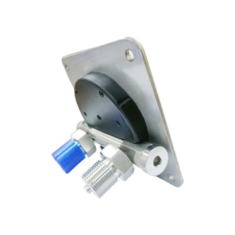 flanged diaphragm pressure gauge suppliers