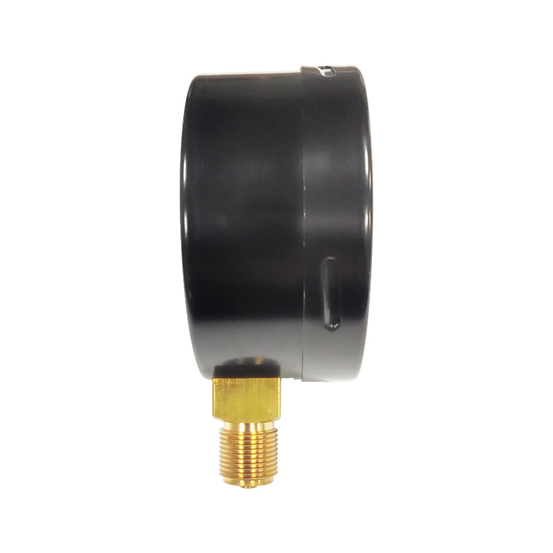 remote diaphragm seal pressure gauge