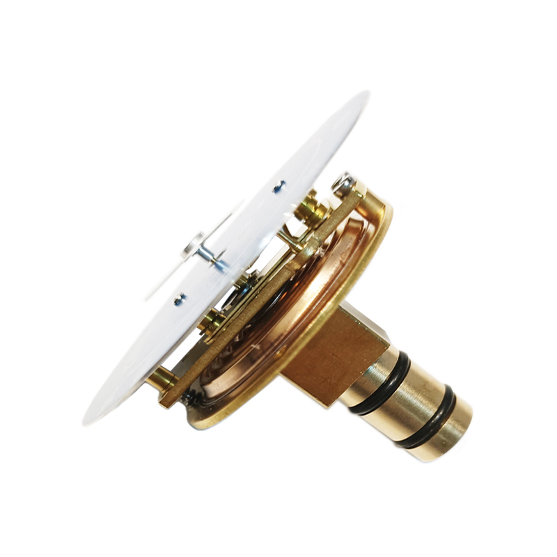 flange diaphragm seal pressure gauge pricelist