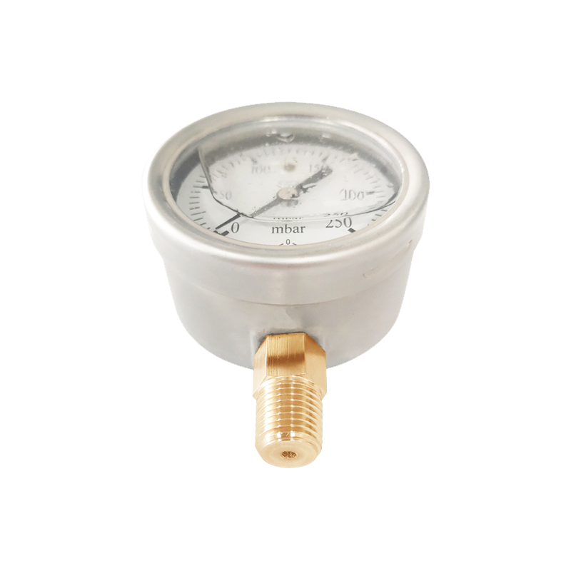 famous diaphragm type pressure gauge