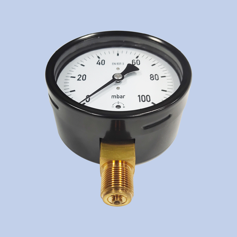 diaphragm capsule pressure gauge manufacturers