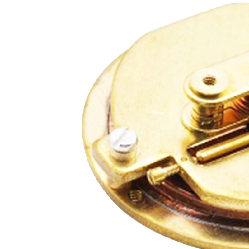 pressure gauge diaphragm seal wika service