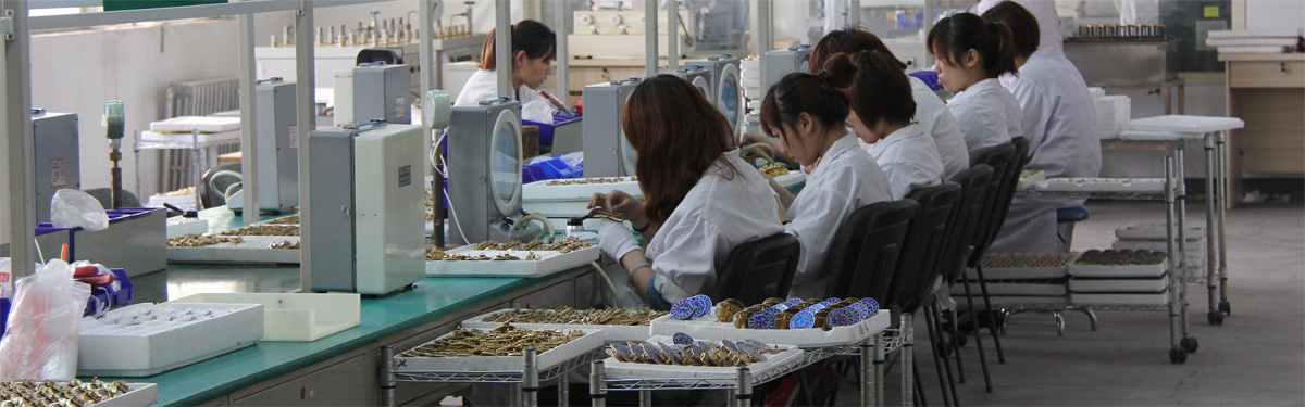 differential pressure gauge